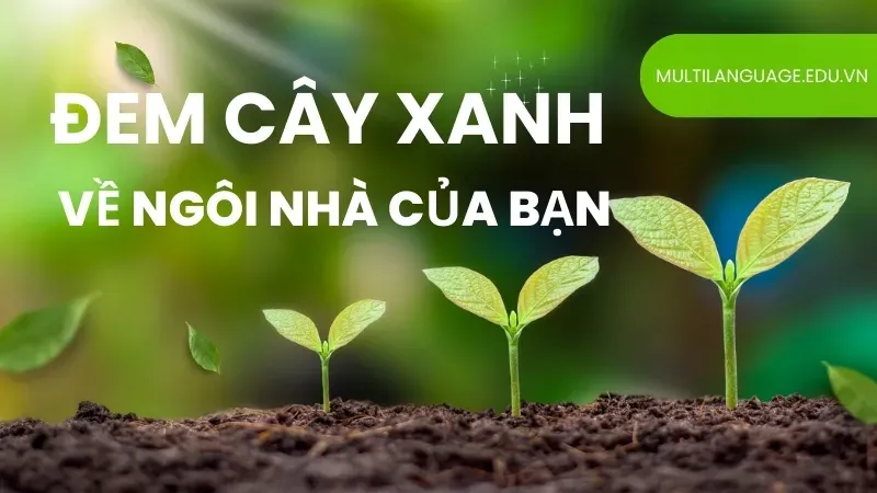 Giới thiệu về chúng tôi 1