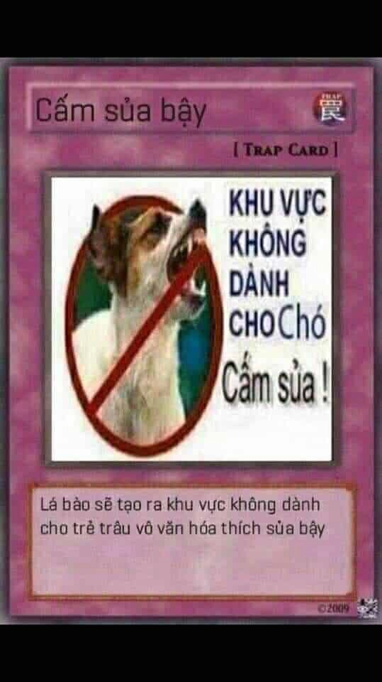 Chiêm ngưỡng bộ bài yugioh meme với các lá bài siêu lầy lội.