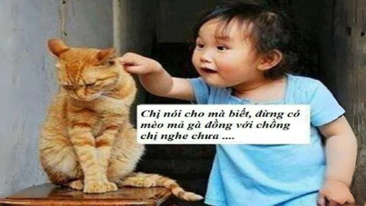 Khám phá ngay vui nhộn meme vui nhộn, dễ thương và sáng tạo.