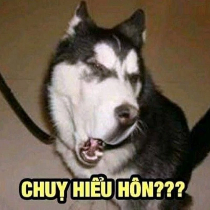 Cảm nhận sự tích cực với và con tim đã vui trở lại meme, cực kỳ đáng yêu.