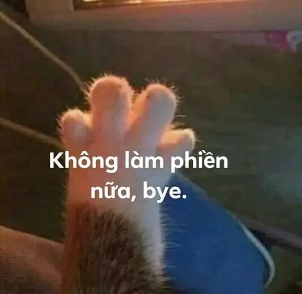 Meme tạm biệt hài hước lan tỏa tiếng cười khi chia tay.