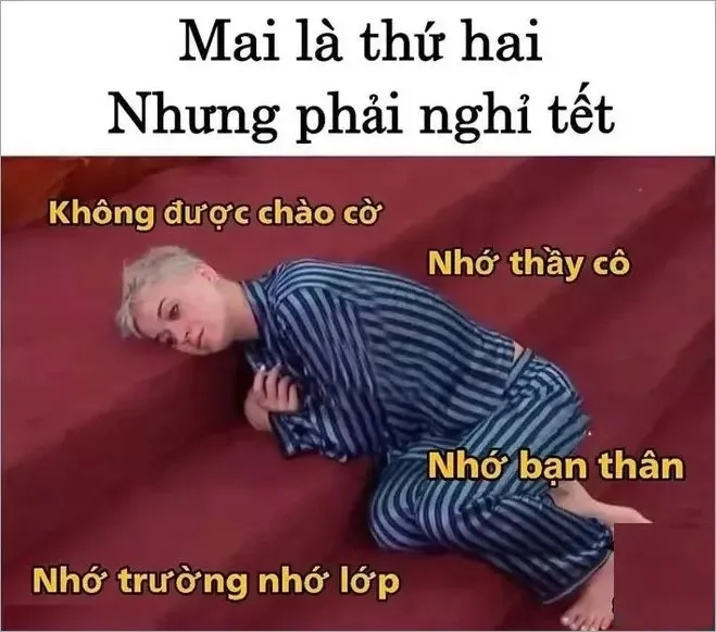 Meme tet cheems tết dễ thương, chúc Tết ngập tràn tiếng cười.