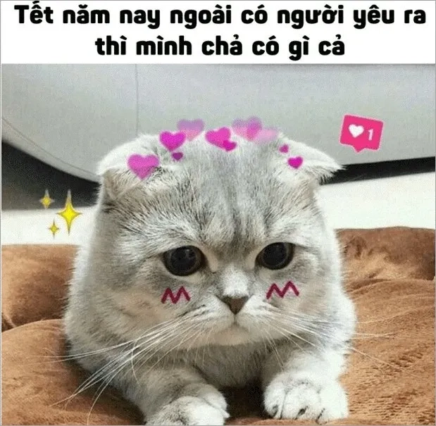 Meme ảnh tết tạo nên không khí vui tươi và rộn ràng cho ngày đầu năm.