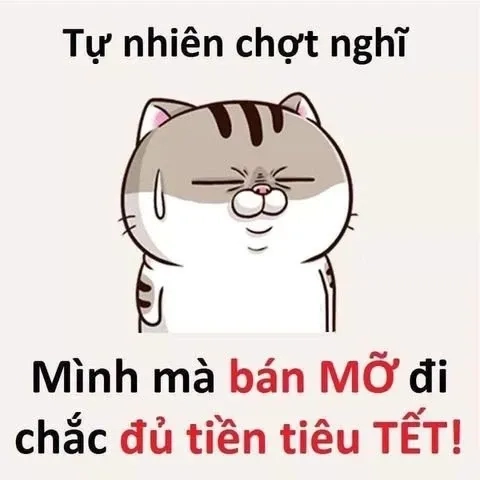 Ảnh meme tết mèo tạo nên không khí Tết vui vẻ với những chú mèo ngộ nghĩnh.