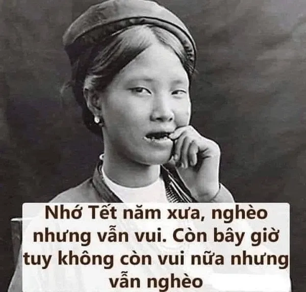 Hình mèo meme tết giúp không khí Tết thêm phần sinh động và đáng yêu.