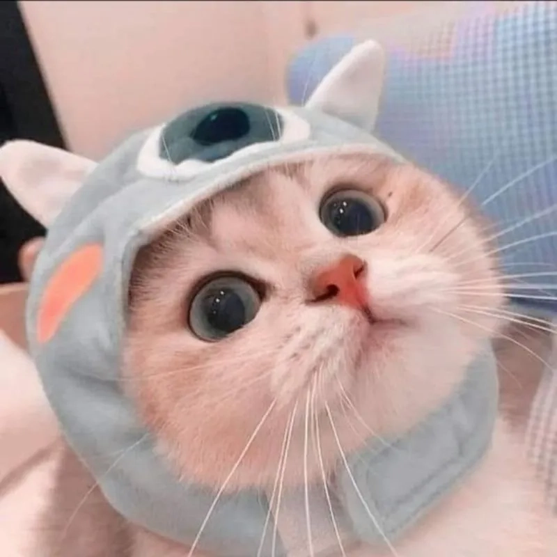 Cập nhật avatar em bé cute đôi để làm nổi bật sự đáng yêu đôi lứa.