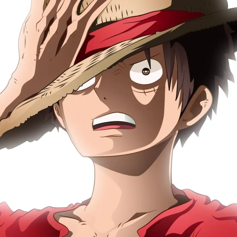 Chọn ngay avatar của luffy để thể hiện niềm yêu thích của bạn với One Piece.