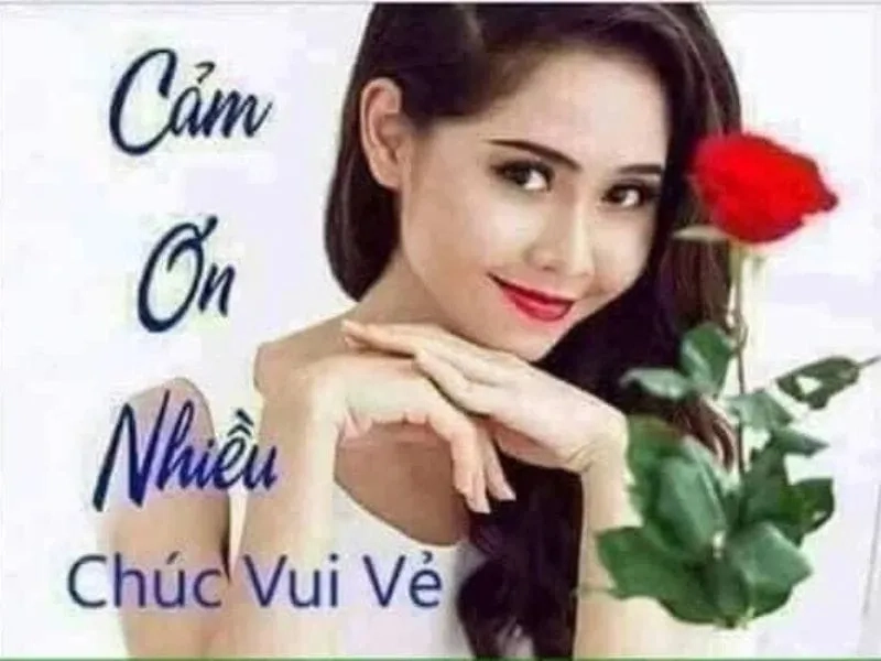 Cảm ơn cô và các bạn đã lắng nghe bài thuyết trình meme thể hiện sự tri ân sau khi chia sẻ.