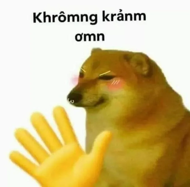 Meme ảnh cảm ơn hài hước khiến bạn không thể ngừng cười.