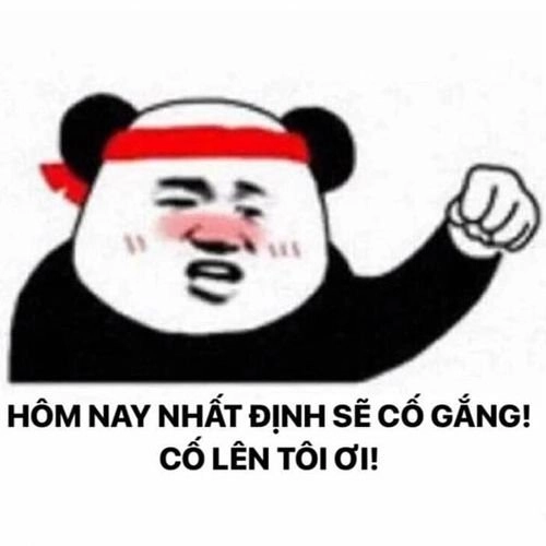 Cười bể bụng với tiện tì cố chấp meme siêu sáng tạo.