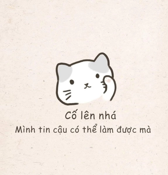 Khám phá ngay chuột cống meme siêu lầy lội.