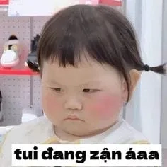 Ảnh mèo khóc meme là khoảnh khắc cảm động về mèo trong những tình huống khóc.