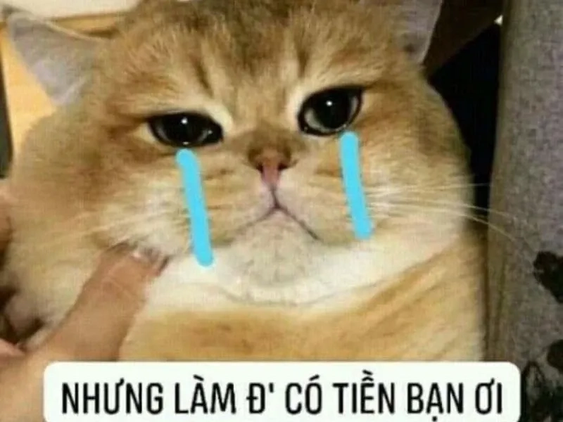 Wojak crying meme dễ thương với nhân vật Wojak trong khoảnh khắc buồn.