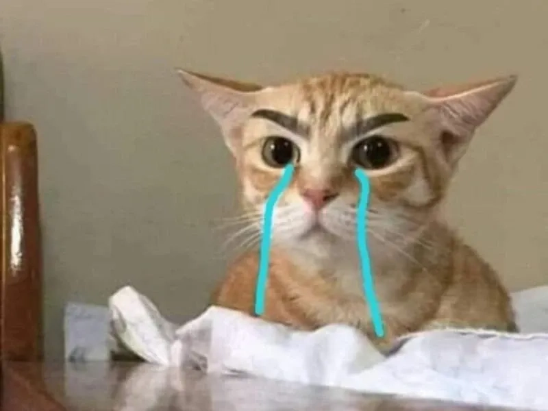 Crying jerry meme hài hước với chú chuột Jerry rơi nước mắt.