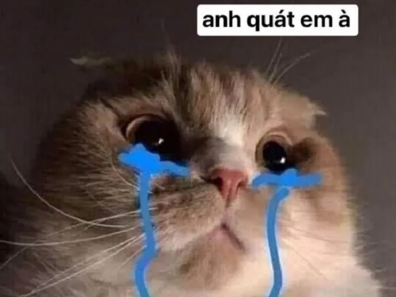 Crying pepe meme nổi bật với nhân vật Pepe trong khoảnh khắc buồn.