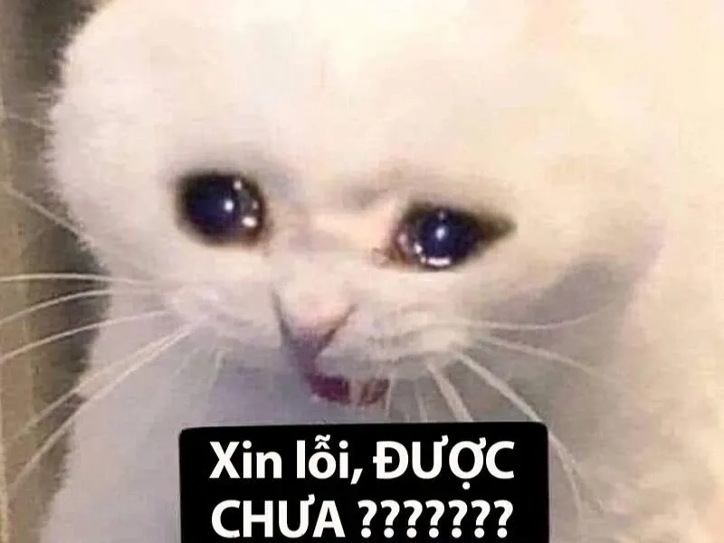 Meme jerry crying hài hước với chú chuột Jerry trong cảnh khóc.