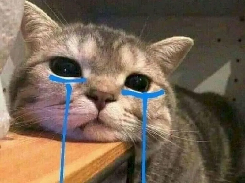 Aya asagiri crying meme là hình ảnh xúc động của nhân vật Aya Asagiri.