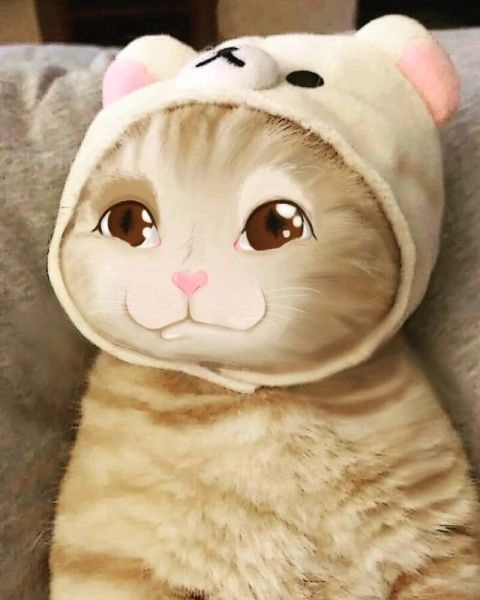 Chắc chắn bạn sẽ yêu thích meme cute hình icon dễ thương này!