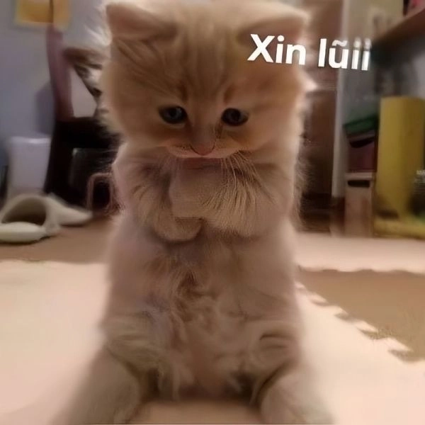 Meme cute có chữ này chắc chắn sẽ khiến bạn bật cười.