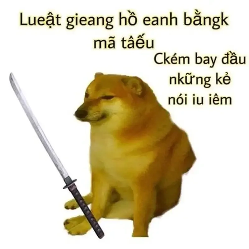 cơm chó meme ngộ nghĩnh, tạo cảm giác vui tươi.