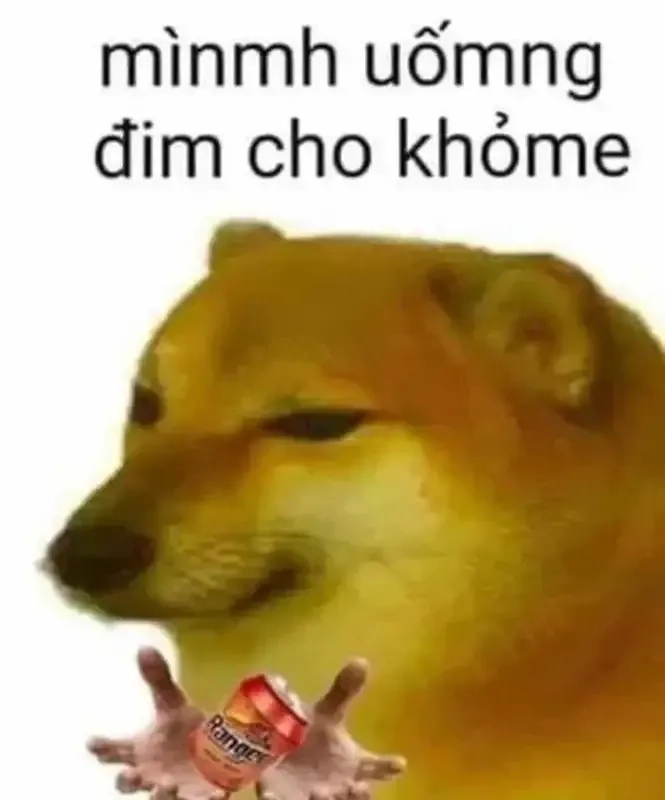 Meme chó Husky gây ấn tượng mạnh với sự ngộ nghĩnh và đáng yêu.