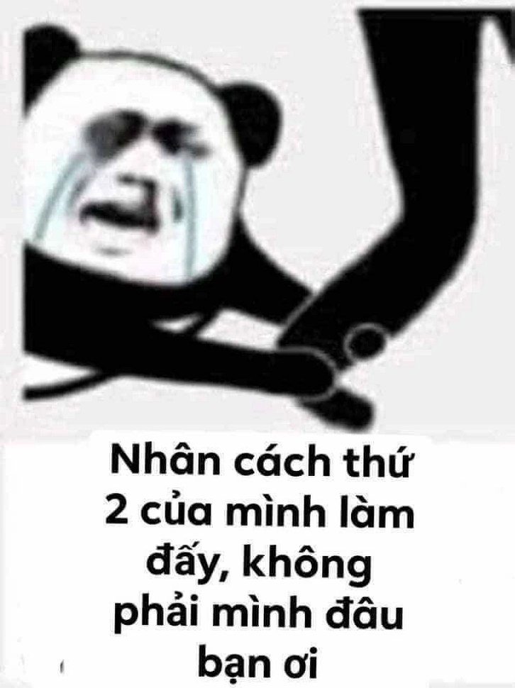 Cười suốt ngày với Ảnh hài Weibo meme gấu trúc troll face đầy ngẫu hứng.