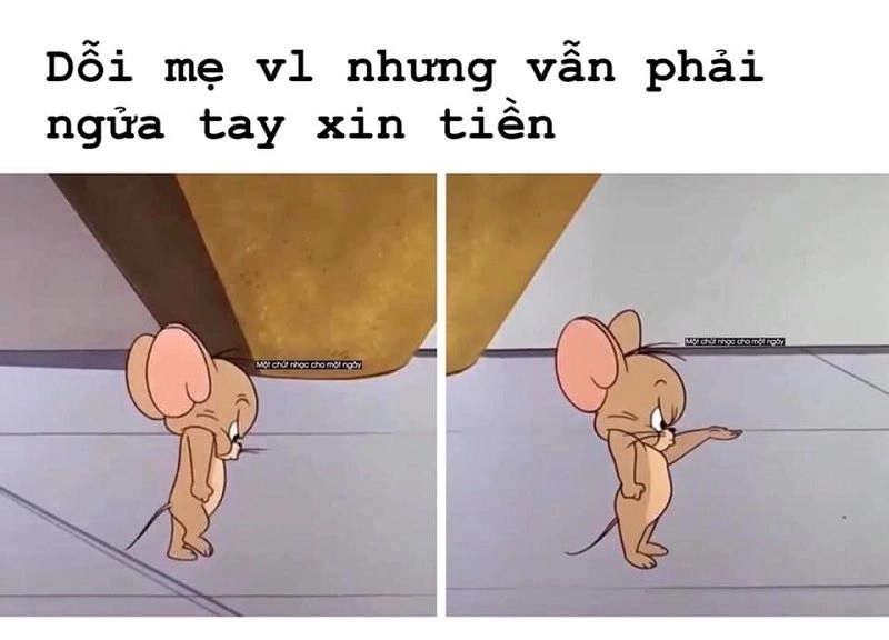 Cùng xem Wojak sad boy meme face với cảm xúc buồn nhưng cực kỳ hài hước.