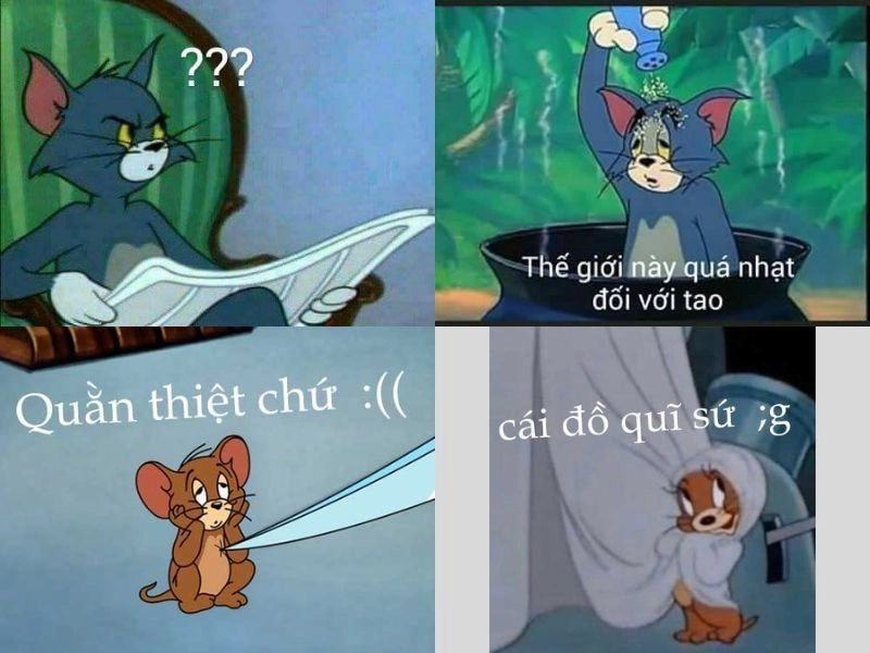 Cùng khám phá Meme troll face để có những phút giây thư giãn tuyệt vời.