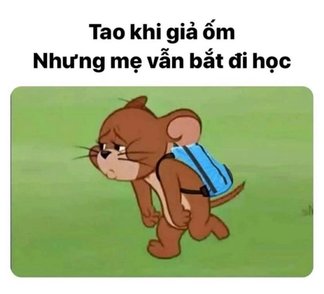 Những biểu cảm độc đáo từ Meme sigma face sẽ làm bạn cười ngất!