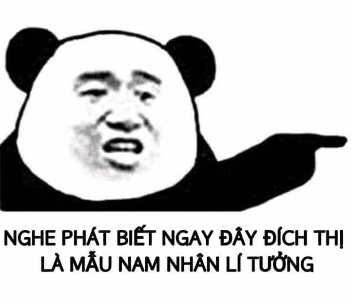 Meme gấu trúc cute làm tan chảy trái tim mọi người bằng sự đáng yêu.