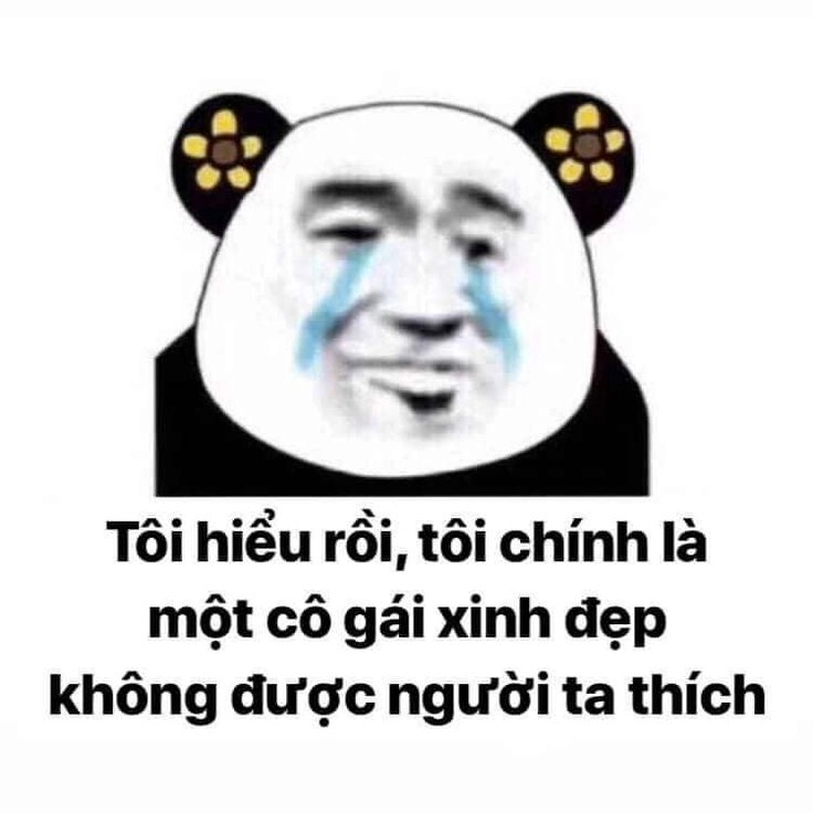 Meme gấu trúc tức giận mang lại tiếng cười từ sự hài hước bất ngờ.