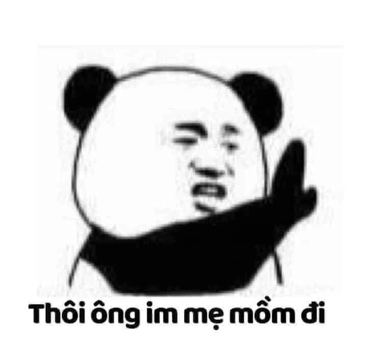 Meme gấu trúc cáo từ gây ấn tượng mạnh với phong cách hài hước.