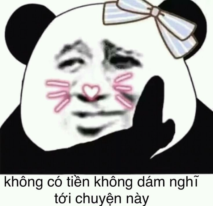 Ảnh meme gấu trúc là lựa chọn thú vị cho mọi tình huống vui nhộn.