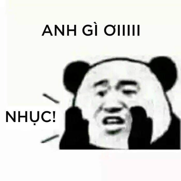 Ảnh hài hước meme gấu trúc là nguồn năng lượng tích cực mỗi ngày.