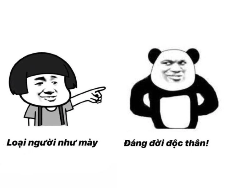 Hài hước meme gấu trúc luôn mang lại năng lượng tích cực mỗi ngày.