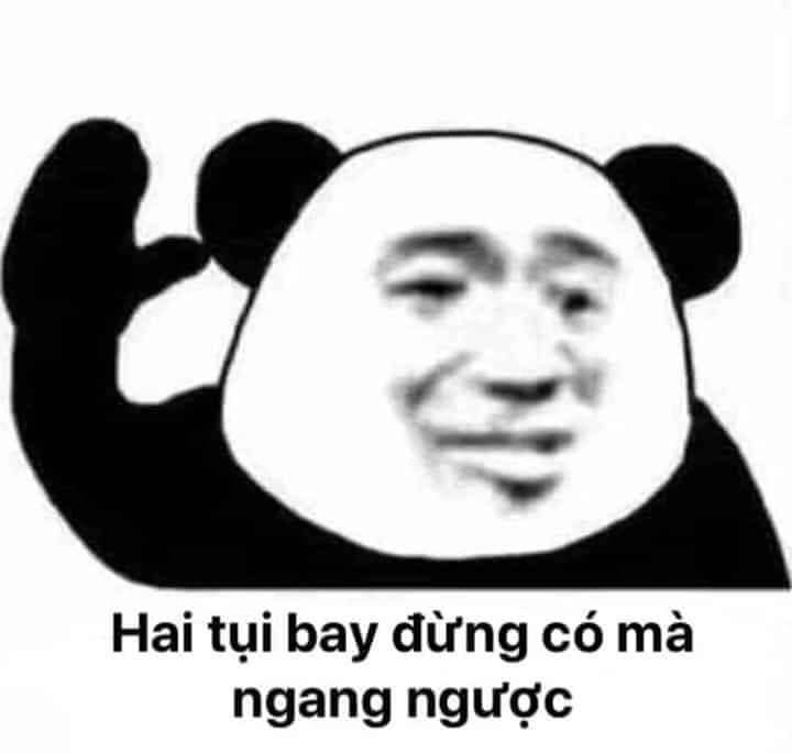 Meme con gấu hồng mang đến sự mới mẻ trong từng biểu cảm vui nhộn.