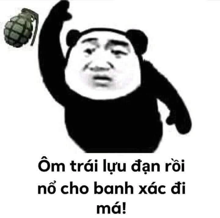 Ảnh gấu hồng meme là lựa chọn hài hước cho những khoảnh khắc vui.