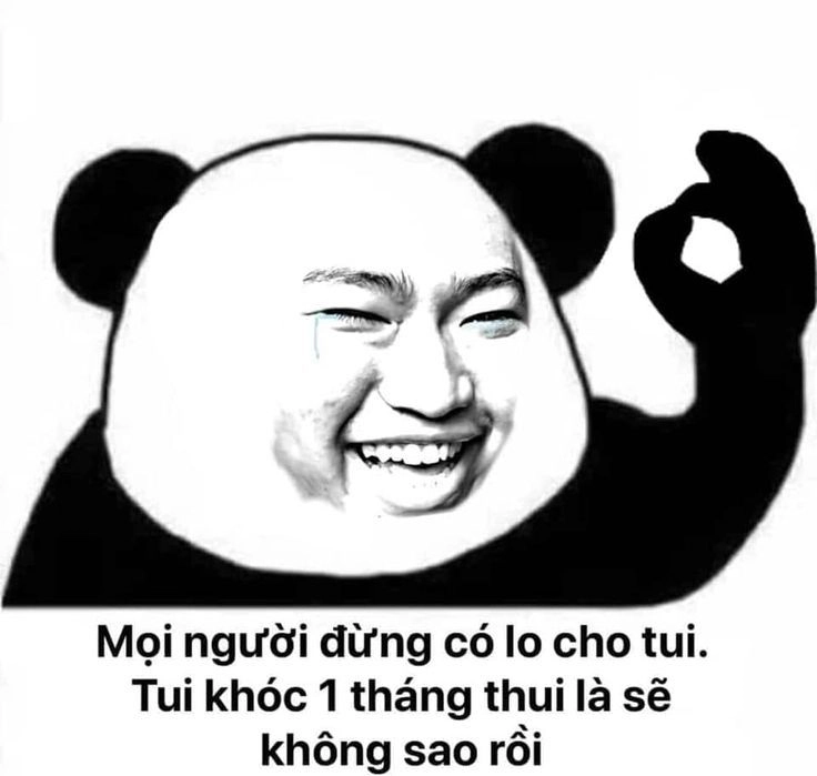 Meme con gấu màu hồng nổi bật với sự hài hước độc lạ.