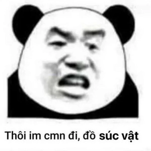 Con gấu màu hồng meme lan tỏa sự dễ thương qua từng biểu cảm.