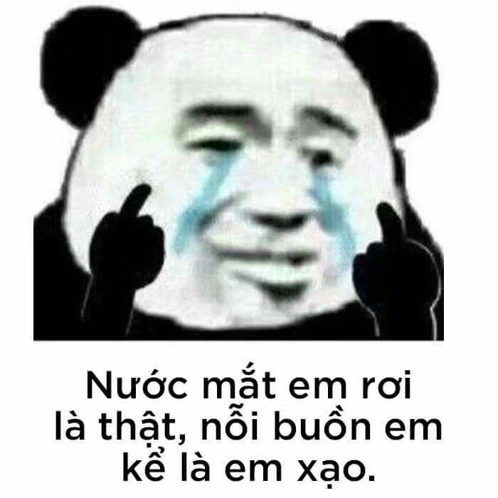 Meme gấu trúc troll hài gây ấn tượng bởi sự hài hước tinh tế.