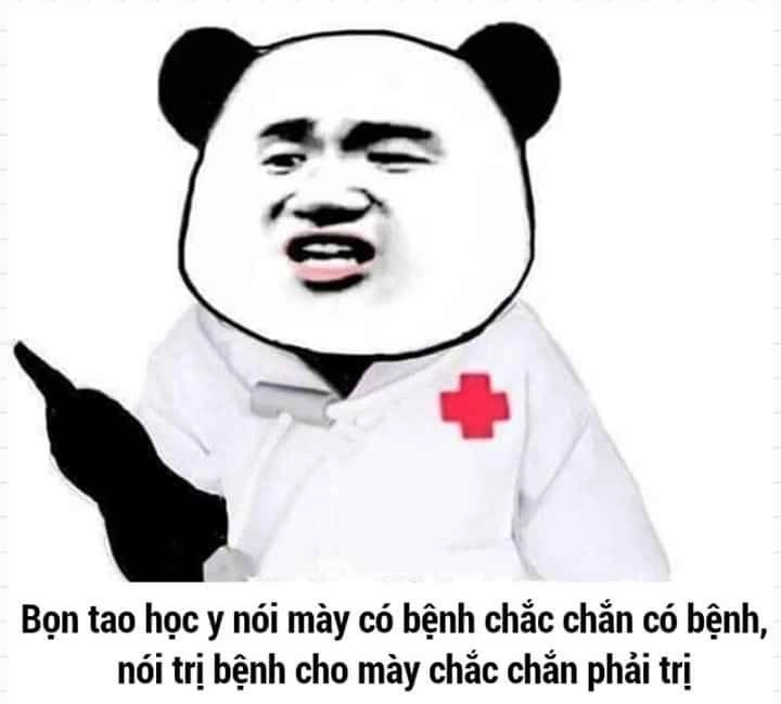 Meme gấu trúc bựa trung quốc cực kỳ hài hước và thú vị.