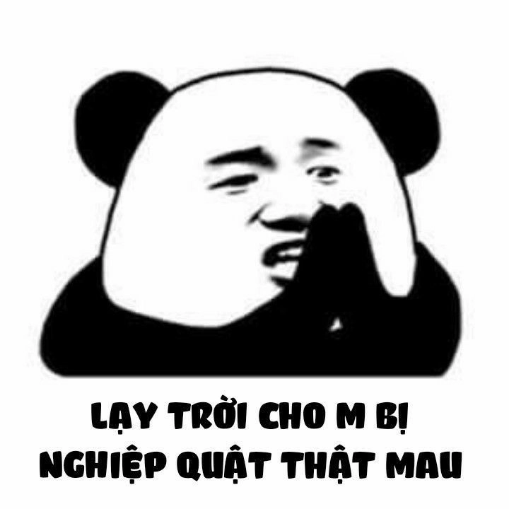 Meme gấu trúc trung quốc siêu hài làm bạn bật cười.