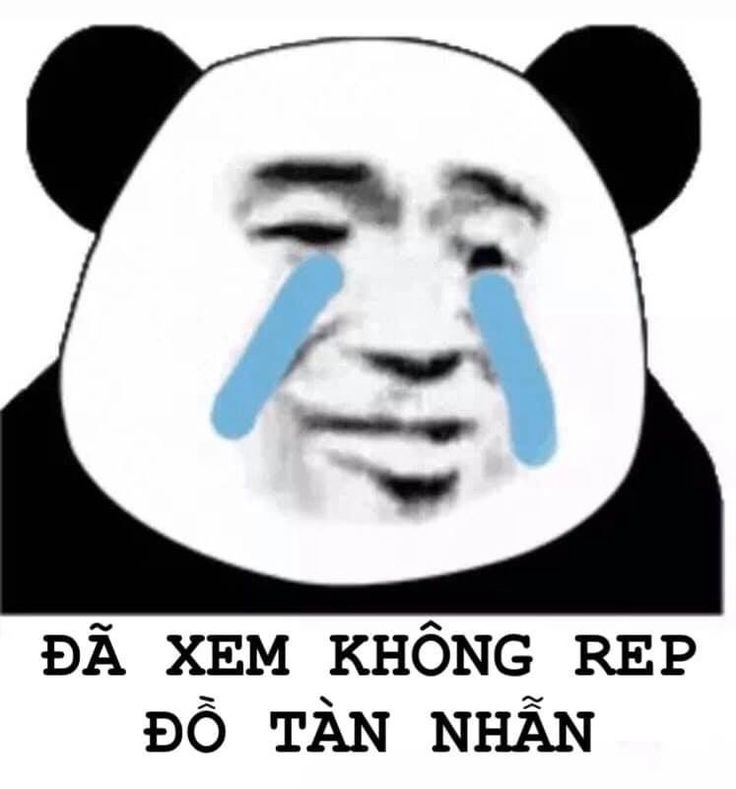 Gấu trúc meme mắt thâm khiến người xem không nhịn được cười.