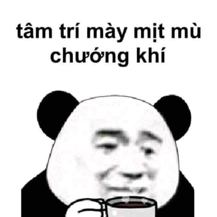 Ảnh meme hài chó, đáng yêu và buồn cười!