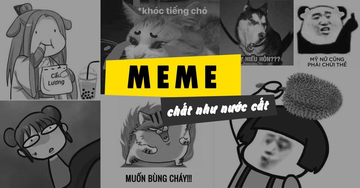 Đắm chìm trong thế giới hình ảnh meme hài hước siêu hot.