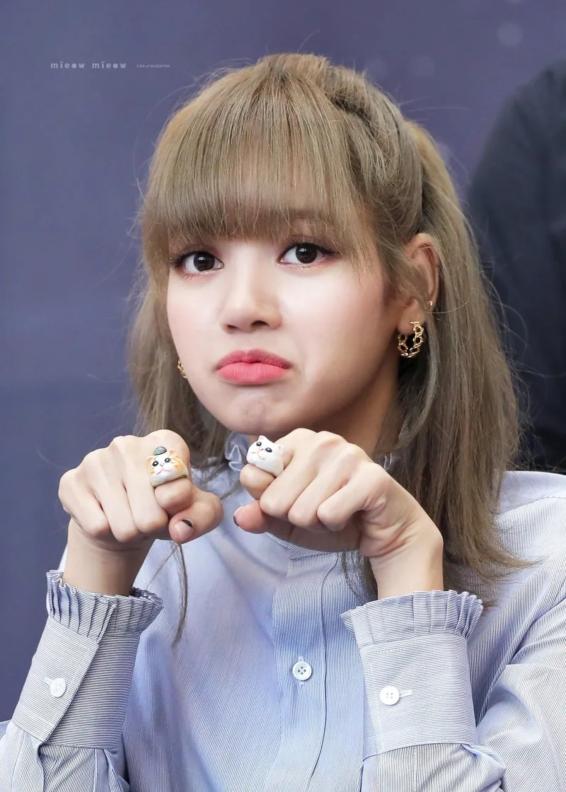 Blackpink meme lisa mang lại những khoảnh khắc đáng yêu của Lisa trong nhóm Blackpink.