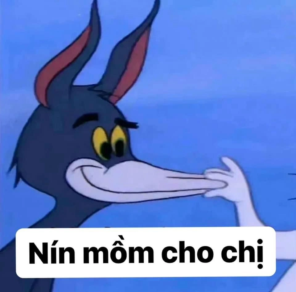 Bạn sẽ không thể nhịn cười trước meme bựa ảnh mèo hài hước này!