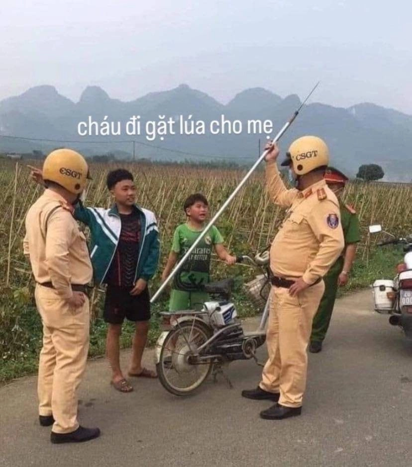 Cười nhếch mép ảnh chế meme mèo bựa khiến bạn không thể không bật cười.