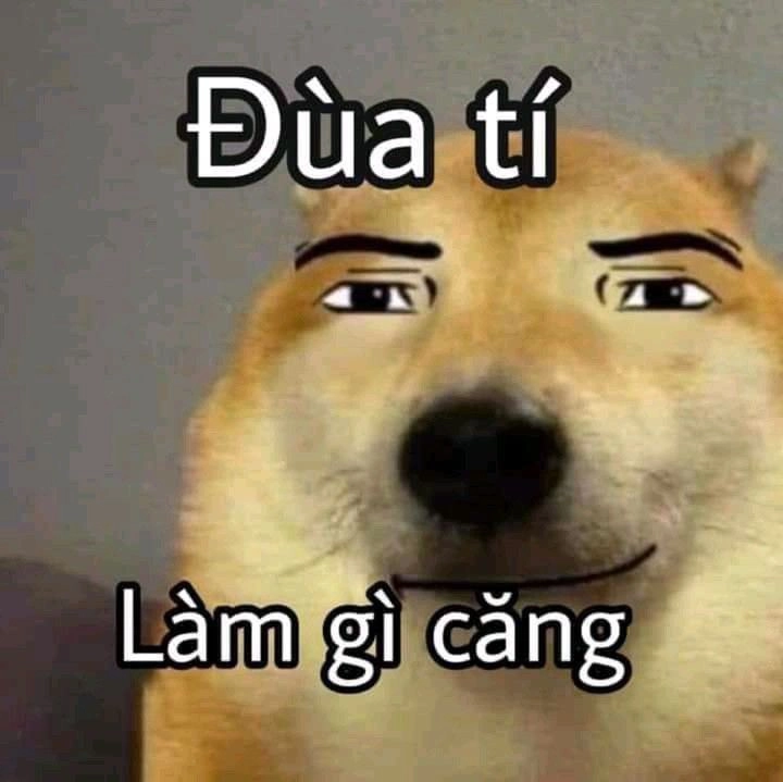 Bạn không thể bỏ qua những ảnh meme cực bựa này vì độ hài hước của chúng.