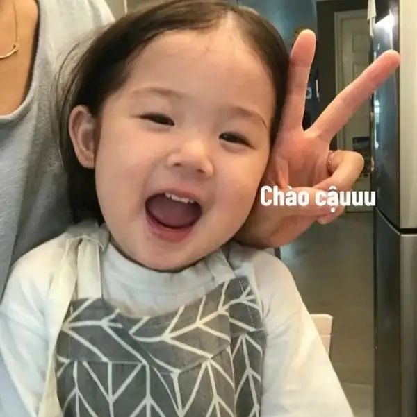 Meme chào anh ngộ nghĩnh và sáng tạo chào mọi người.